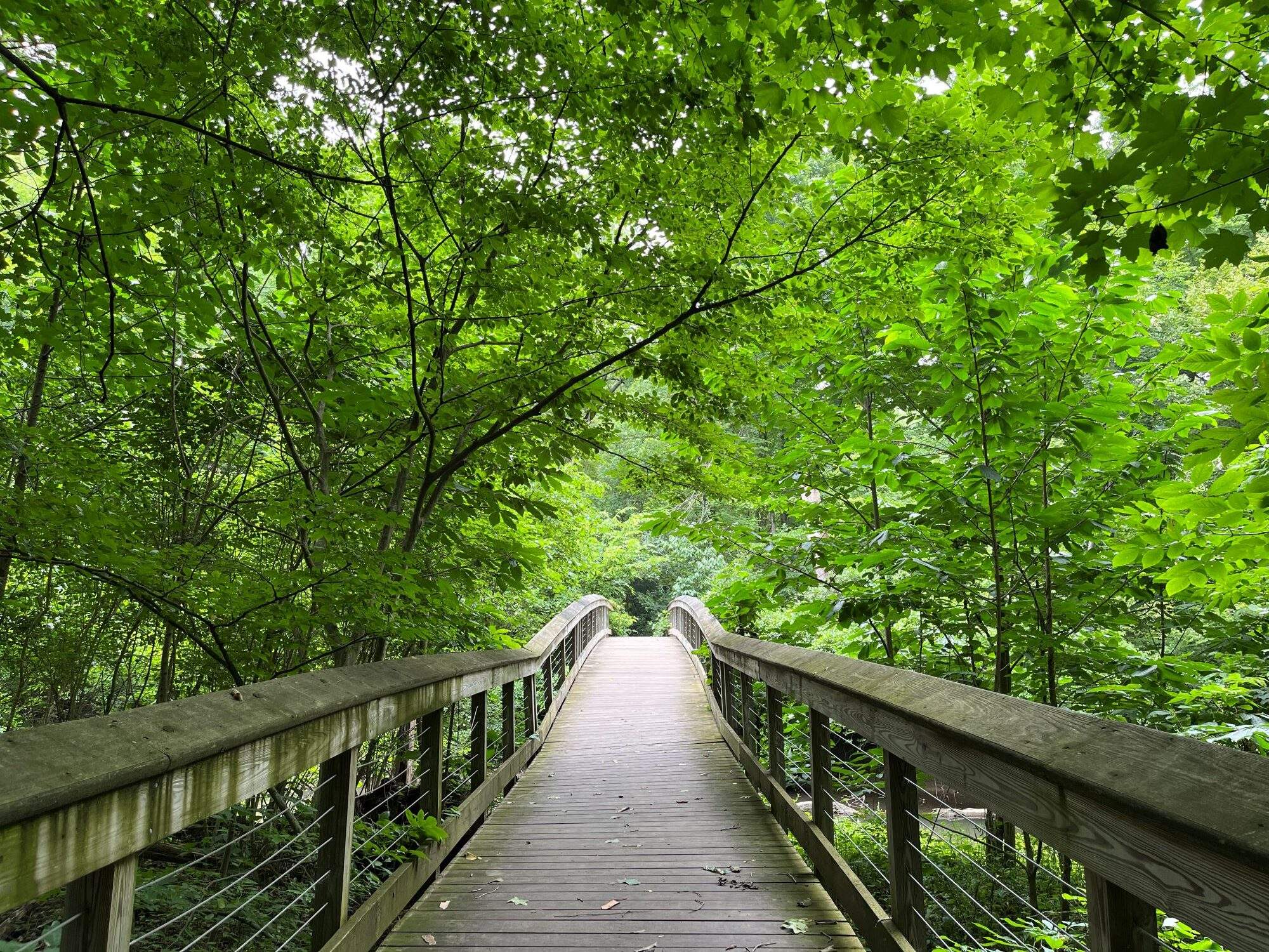 The overlook at Galien County River Park